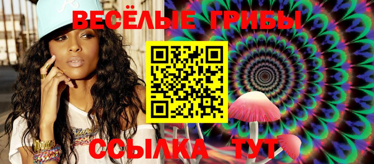 Псилоцибиновые грибы прущие грибы Севастополь